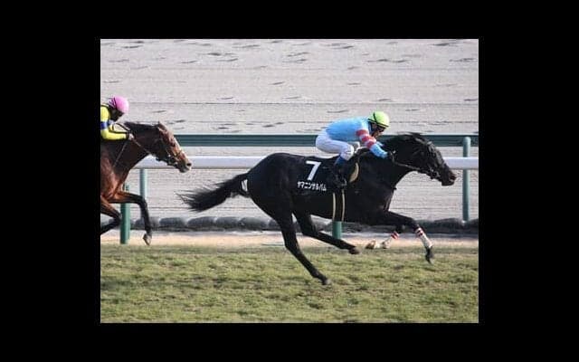 エプソムＣ、人気馬は過信禁物 穴党記者は不発続く４歳馬２頭の巻き返しに期待