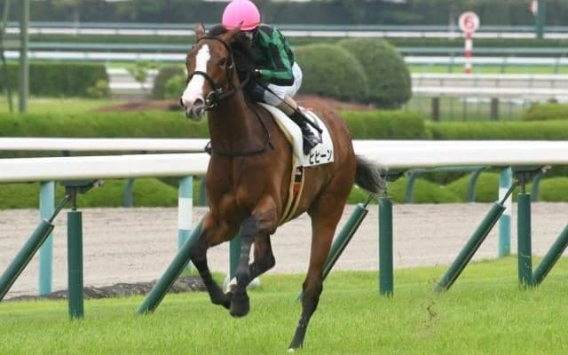 馬名の意味は「馬のいななき」 5番人気ヒヒーンが初陣飾る