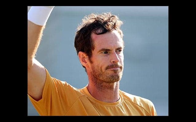 マレー 芝CHで4強