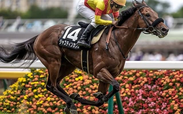 【エプソムC前日オッズ】ジャスティンカフェが3.2倍で1番人気