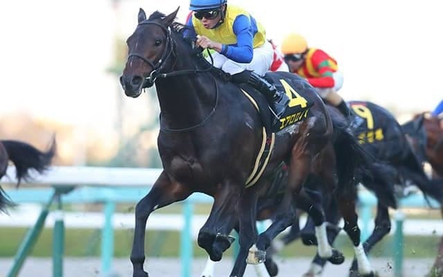 【AI予想・エプソムC】週初から一転！ 人工知能の推奨「◎」は上位人気馬とも遜色ない伏兵