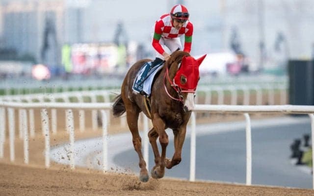 ジャスティンが競走馬登録抹消