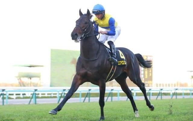 【エプソムC予想】波乱含みの一戦 今年は馬場状態も予想のポイントに