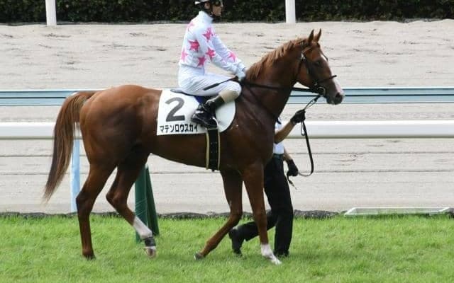 【エプソムC予想】狙うべき穴馬はどの人気ゾーンなのか？ 要注意すべき「前走ローテ」「枠」「脚質」を解析