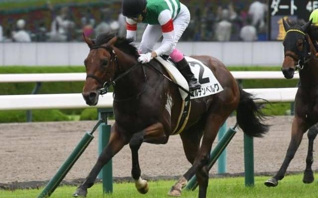 【阪神5R新馬戦結果】1番人気ミルテンベルクが2番手から抜け出しV