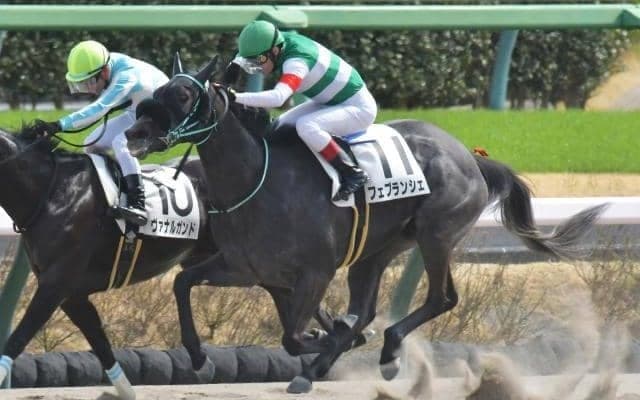 【川崎・関東オークス枠順】連勝中のフェブランシェは8枠13番、東京プリンセス賞を制したサーフズアップは2枠2番