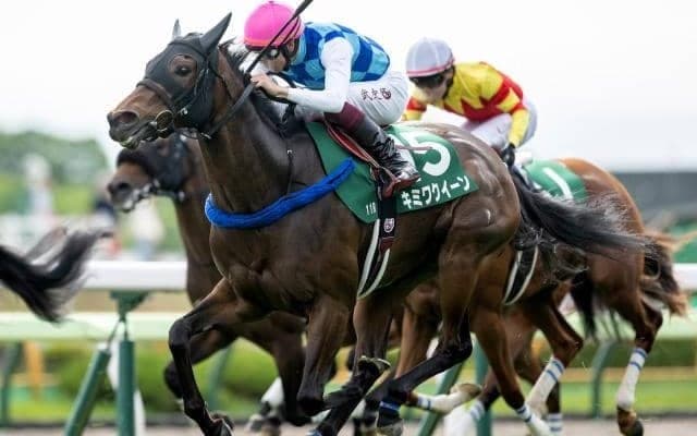 【函館スプリントS】末脚一閃！キミワクイーンが重賞初制覇