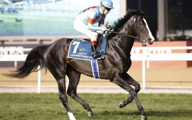 【宝塚記念】GI馬8頭集結 イクイノックス、ジェラルディーナら20頭が登録