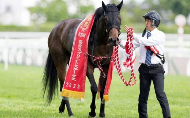 【函館SS】横山武「馬に助けられました」キミワクイーンが重賞初V