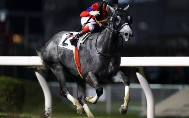 【川崎スパーキングスプリント枠順】電撃の900m重賞 JRA丸田恭介騎手とのタッグで挑むコウギョウブライトは7枠9番