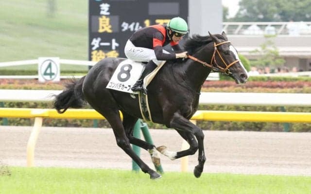 【新馬/東京5R】ブリックスアンドモルタル産駒 ゴンバデカーブースがデビューV