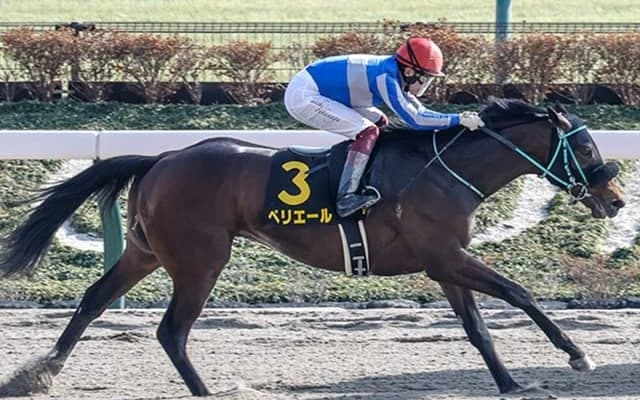 【ユニコーンS想定騎手】ペリエールはC.ルメール騎手、グレートサンドシーは川田将雅騎手