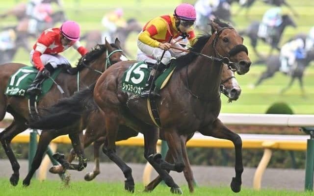 重賞初制覇したジャスティンカフェ サドラーズウェルズのクロスが生み出す好成績