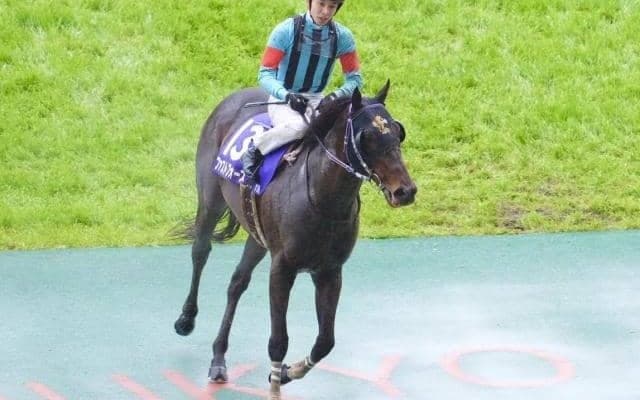 【先週のJRA抹消馬】高松宮記念覇者ファストフォース、ダート短距離で重賞3勝を挙げたジャスティンなどが抹消