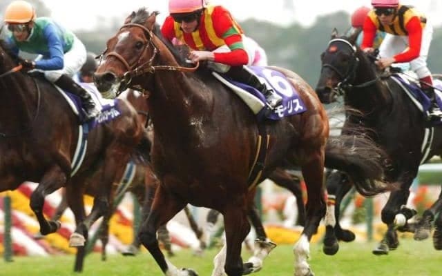 豪G1・3勝のモーリス産駒ヒトツが種牡馬入り