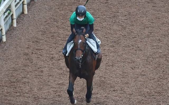 ノットゥルノなど、先週の入厩情報/栗東トレセンニュース