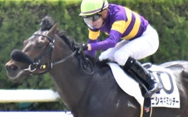 武豊騎手がユニコーンS3勝目狙う 05年には“砂のディープ”カネヒキリで勝利