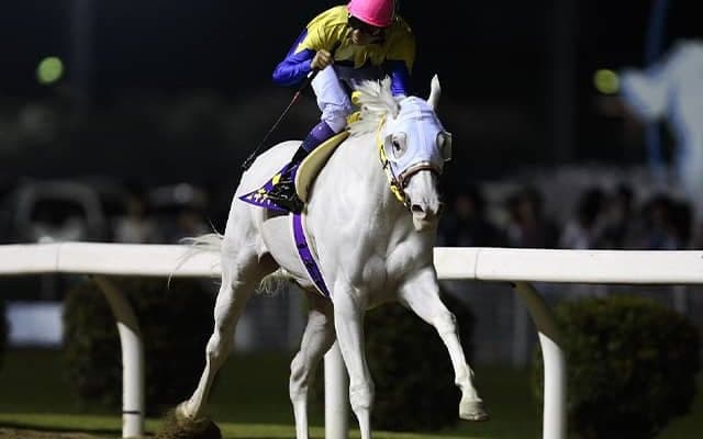 「ユキチャン専用窓口」が出現 白毛初の重賞制覇“08年関東オークス”