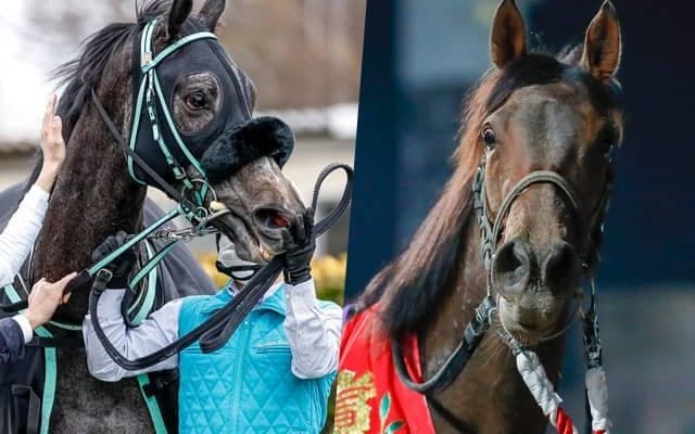 【関東オークス注目馬】過去20年で17勝の中央馬 vs 二冠に挑む地方馬