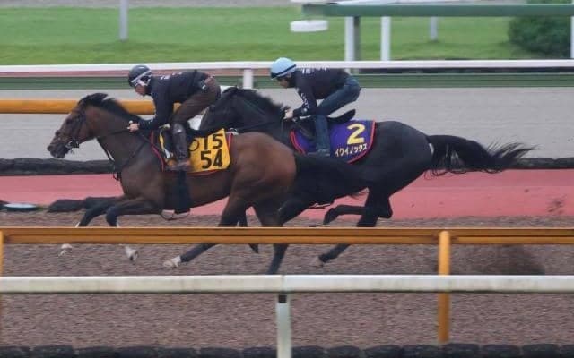 イクイノックス、宝塚記念1週前追い切り速報/栗東トレセンニュース