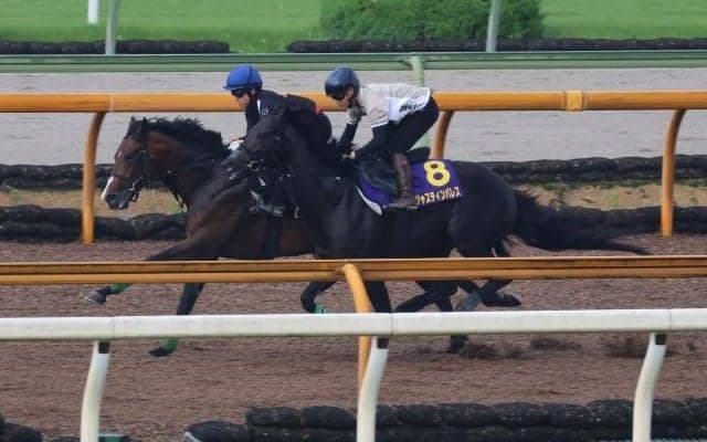 ジャスティンパレス、宝塚記念1週前追い切り速報/栗東トレセンニュース