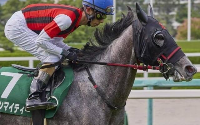 レース史上初の連覇なるか 阪神大賞典3連覇ゴールドシップの娘が偉業に挑戦