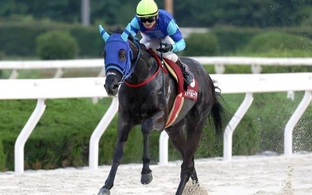 【園田・兵庫ダービー結果】牝馬のスマイルミーシャが優勝！