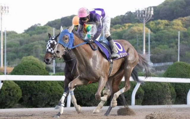 【グランダム・ジャパン2023】3歳シーズン 第14代女王は兵庫のマルグリッド