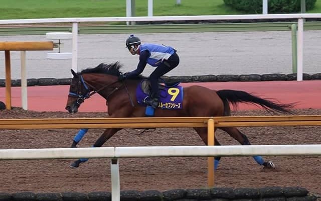 スルーセブンシーズ、宝塚記念1週前追い切り速報/栗東トレセンニュース