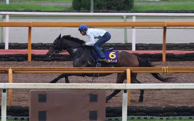 ジェラルディーナ、宝塚記念1週前追い切り速報/栗東トレセンニュース