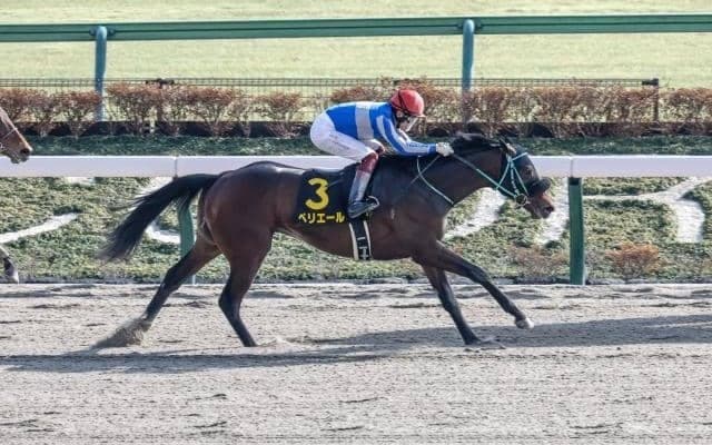 【ユニコーンS出走馬・騎手確定】ペリエール＆C.ルメール騎手、グレートサンドシー＆川田将雅騎手など15頭