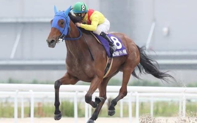 【名古屋・トリトン争覇結果】ブリーザフレスカが勝ち人馬共に初重賞制覇