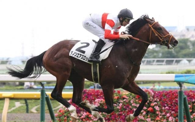 【新馬/東京5R】4億5000万ホース、ダノンエアズロックが断然の人気に応える