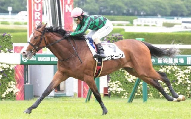 【新馬/阪神5R】ヒヒーンがデビューV…馬なりで楽々抜け出す