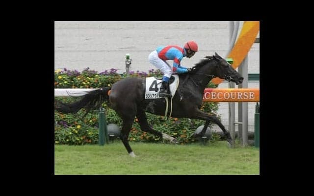 マーメイドＳは小粒なメンバーの中でも「格下的存在」のキズナ産駒、キャリア薄のドゥラメンテ産駒の激走に期待