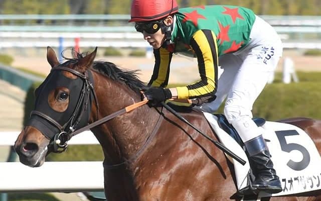 待ちに待った距離短縮 土曜阪神7Rはランスオブサウンドを狙い撃ち