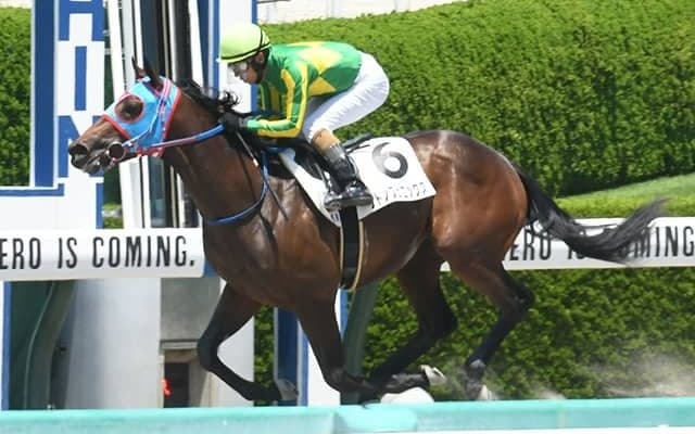 【阪神5R新馬戦結果】サトノフェニックスが好位から抜け出してデビュー勝ち