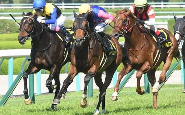 【米子S結果】10番人気メイショウシンタケが差し切りV 3連単は120万超の波乱に