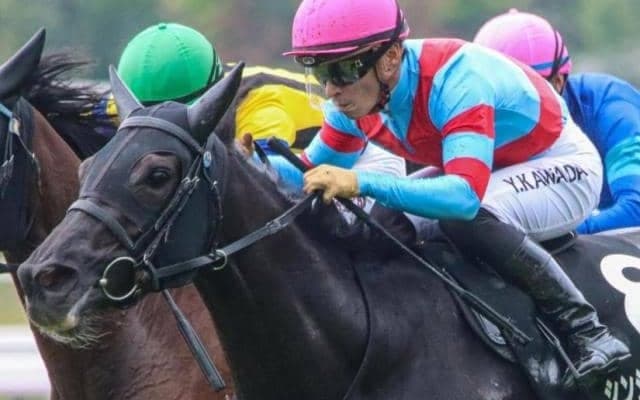 4角3番手以内なら複勝率100％ マーメイドSで波乱呼ぶ