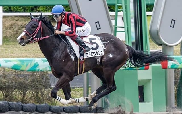 【AI予想・ユニコーンS】週初から一変した「◎」人工知能が推奨するダート界のスター候補とは