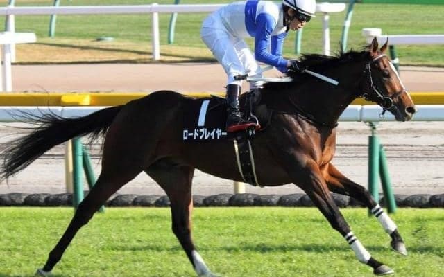 【日曜東京7R予想】のちの毎日杯覇者シーズンリッチに先着した実績アリ！ 立て直して負けられぬ一戦