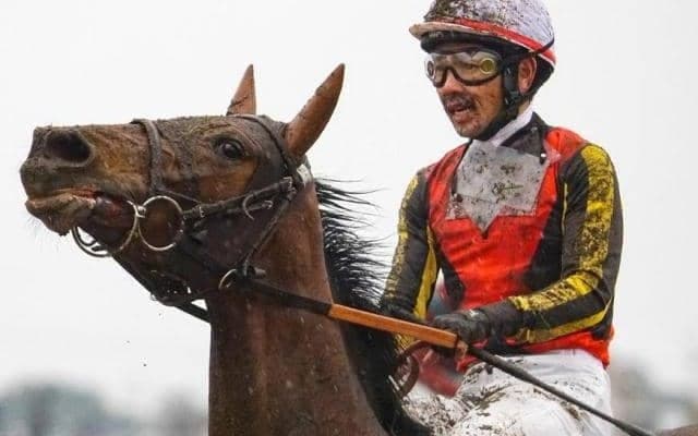 【日曜阪神8R予想】近親にジェンティルドンナやジェラルディーナ 良血馬が良馬場で決める