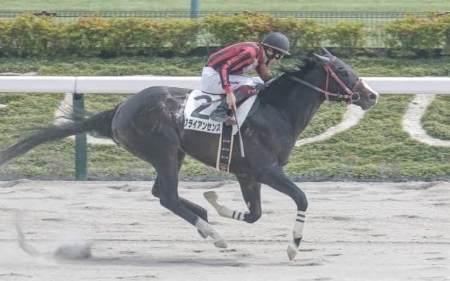 【今日の注目ポイント】東京で3歳ダート重賞ユニコーンS、阪神で牝馬のハンデ重賞マーメイドS
