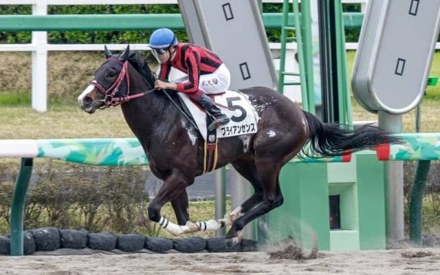 【ユニコーンS予想】ダート界きっての出世レース 求められるは名馬に相応しい総合力