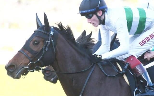 【マーメイドS予想】過去10年で1番人気が“僅か1勝” 波乱必至な牝馬限定ハンデ戦