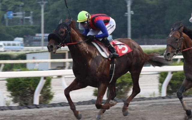 【高知・カレンブラックヒル賞】アポロティアモが3連勝…吉原「完勝でした」