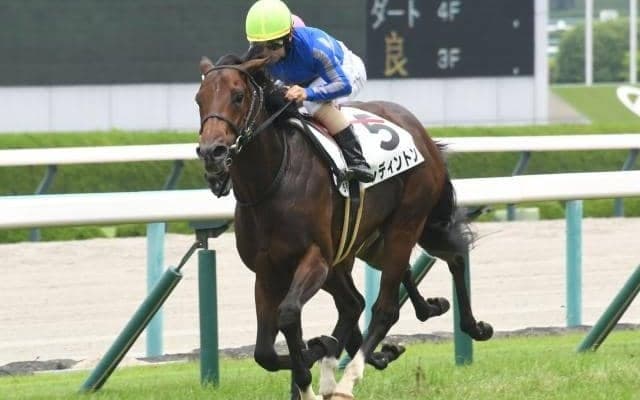 【阪神5R新馬戦結果】4番人気のレディントンが力強く差し切る