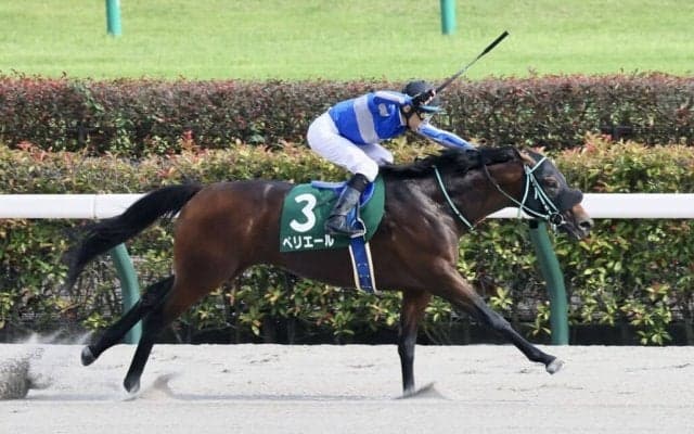 【ユニコーンS】海外帰りペリエールが人気に応える…ルメール騎手は特別3連勝