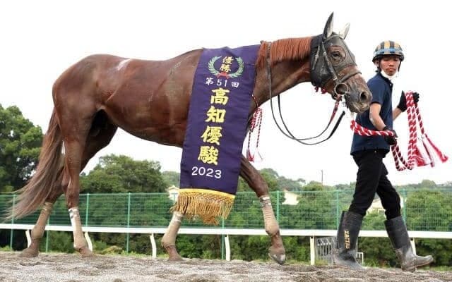 【高知・高知優駿結果】ユメノホノオが8連勝で高知二冠！ 南関重賞2勝のポリゴンウェイヴに大差圧勝