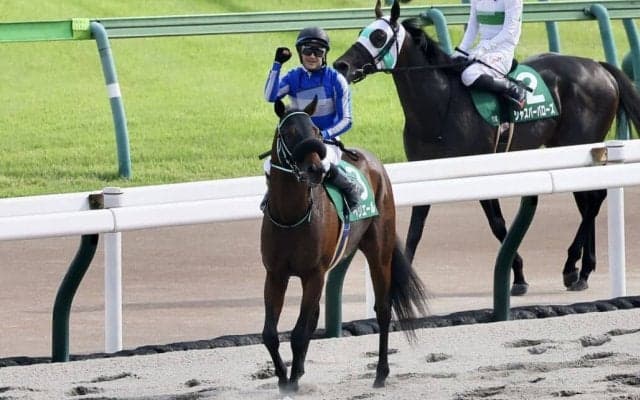 【ユニコーンS】ルメール「G1レベルで頑張れる」ペリエールが重賞初制覇